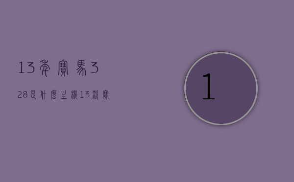 13年宝马328是什么主机（13款宝马328im），揭秘，13年款宝马328搭载的主机型号及功能解析