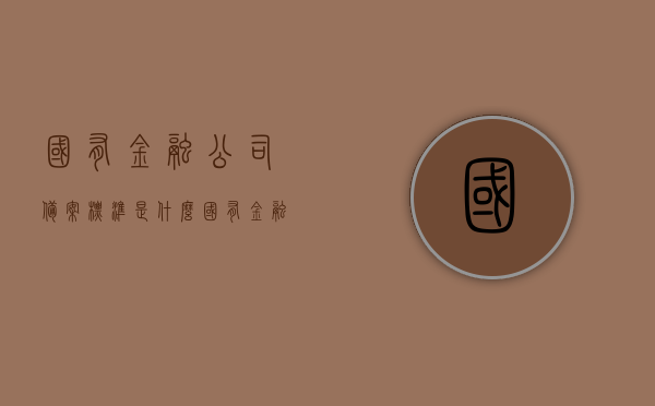 国有金融公司备案标准是什么（国有金融投资公司），国有金融公司备案标准详解，从投资到运营全面解读，国有金融公司备案标准详解，从投资到运营全面解读其要求和流程