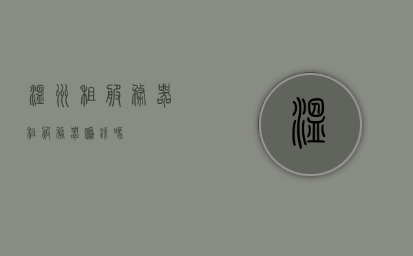 温州租服务器（租服务器赚钱吗），温州服务器租赁业务及其盈利潜力探讨