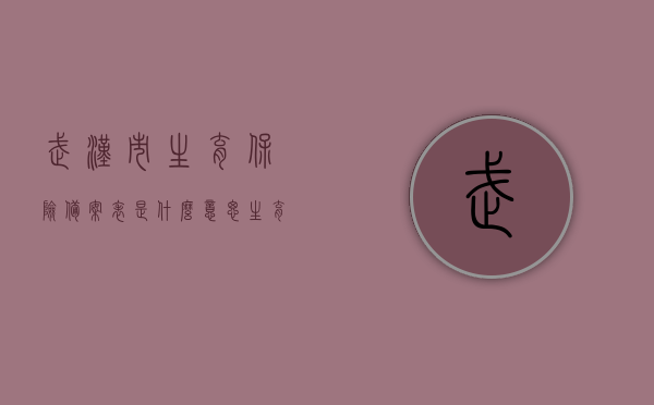 武汉市生育保险备案表是什么意思（生育保险备案表什么时候填写），武汉市生育保险备案表详解，何时填写及意义探究，武汉市生育保险备案表详解，填写时机与意义探究