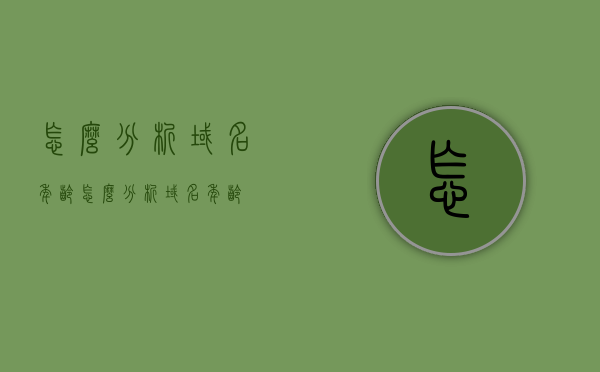 怎么分析域名年龄（怎么分析域名年龄），如何分析域名年龄？技巧全解析