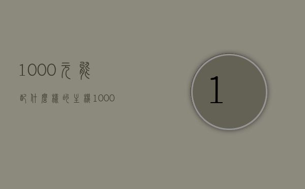 1000元能配什么样的主机（1000元的预算买什么样的主机），预算千元，主机配置如何选择？，千元预算，如何选择理想主机配置？解读1000元能配什么样的主机。