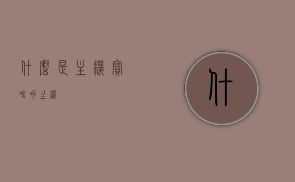 什么是主机宝（啥叫主机），主机宝解析，什么是主机？，揭秘主机宝，解析主机概念与特点，深入了解主机世界！，解析主机概念与特点，揭秘主机宝，深入了解主机世界！