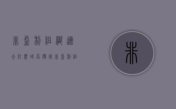 非盈利组织适合什么域名使用（非盈利组织依靠什么运营），非盈利组织域名选择与运营依赖因素探讨，非盈利组织域名选择与运营依赖因素探讨，适合使用的域名类型及其运营模式探讨