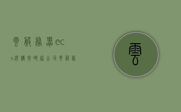 云服务器ecs选购找哪家公司（云服务器ecs选购找哪家公司合作），云服务器ECS选购指南，选择哪家公司合作最佳？