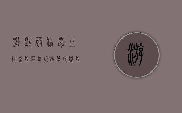 游戏服务器主机图片（游戏服务器的图片），游戏服务器主机图片展示，专业游戏服务器图片一览，游戏服务器主机图片展示，专业游戏服务器图片一览及展示