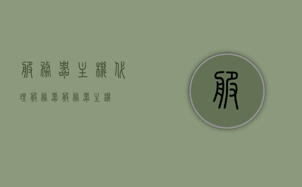 服务器主机代理服务器（服务器主机），服务器主机代理服务详解，专业代理服务器解决方案，专业代理服务器解决方案，服务器主机代理服务详解与优势探讨