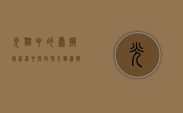 光猫中的虚拟服务器要开启吗（光猫虚拟服务器设置），光猫虚拟服务器设置详解，是否需要开启及如何操作？，光猫虚拟服务器设置详解，开启与否及操作指南，光猫虚拟服务器设置详解，开启与否、操作指南及操作步骤全解析