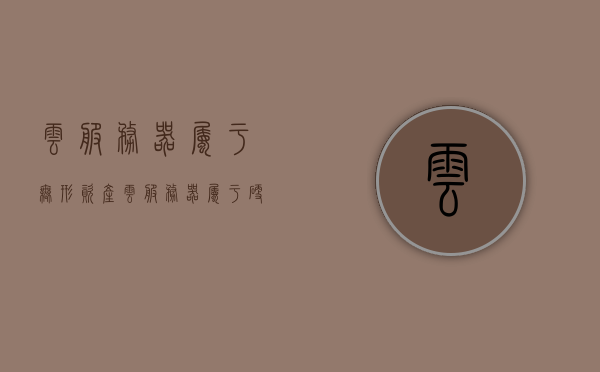 云服务器属于无形资产（云服务器属于硬件吗），云服务器，无形资产还是硬件设备？