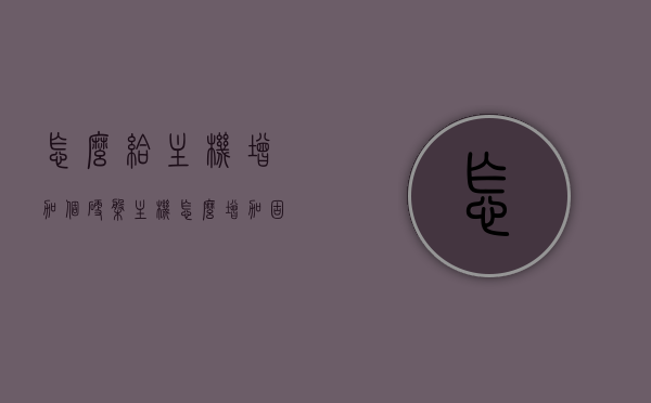 怎么给主机增加个硬盘（主机怎么增加固态硬盘），如何为主机增加固态硬盘？步骤指南，如何为主机增加固态硬盘？详细步骤指南，如何为主机增加固态硬盘，详细步骤指南，如何为主机增加固态硬盘，详细步骤指南，如何为主机增加固态硬盘？详细步骤指南（含选择硬盘及安装步骤），如何为主机增加固态硬盘，详细步骤指南（含硬盘选择与安装步骤全解析）