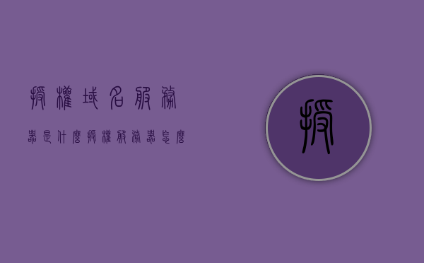 授权域名服务器是什么（授权服务器怎么解决），授权域名服务器解析及授权服务器问题解决指南