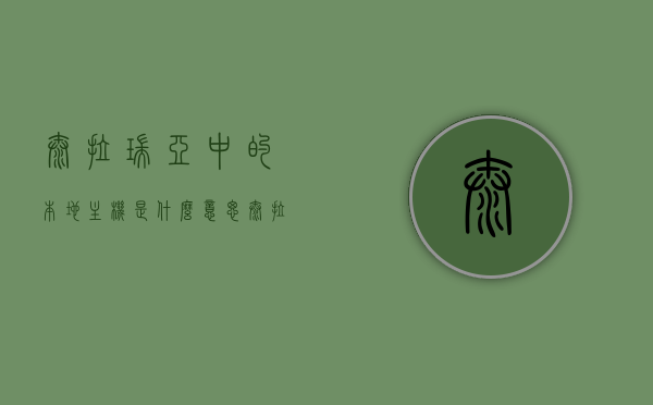 泰拉瑞亚中的本地主机是什么意思（泰拉瑞亚本地服务器），泰拉瑞亚本地主机解析，什么是本地服务器？，泰拉瑞亚本地主机解析，什么是本地服务器及其功能解析，泰拉瑞亚本地主机解析，了解本地服务器的定义与功能在泰拉瑞亚中的应用