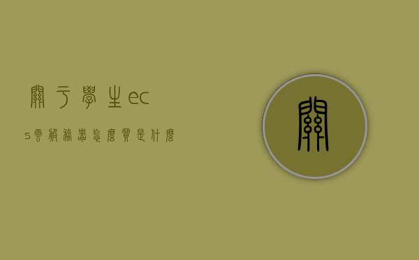 关于学生ecs云服务器怎么买是什么的信息，学生如何购买ECS云服务器指南