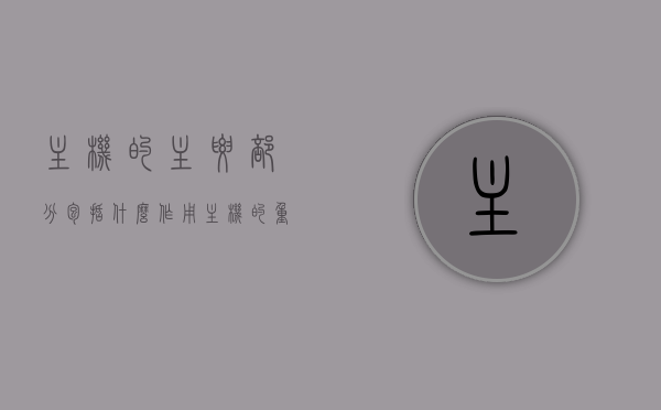 主机的主要部分包括什么作用（主机的重要组成部分），主机核心组件及其作用解析，主机核心组件解析，探究主机的主要部分与作用，主机核心组件解析，探究主机的主要部分与作用及其核心组件的功能