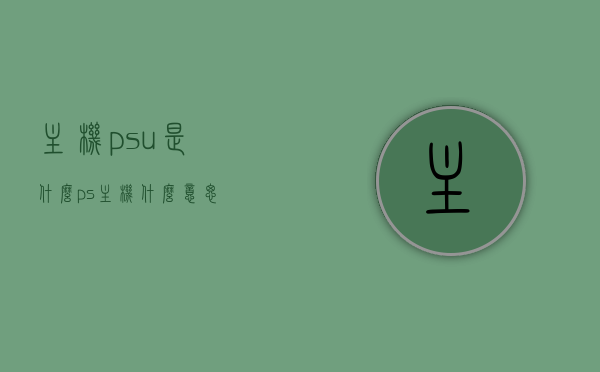 主机psu是什么（ps主机什么意思），PSU的含义与主机电源解析，PS主机中的PSU，解析电源单元与主机电源含义，PS主机中的PSU解析，电源单元与主机电源含义详解，PS主机中的PSU解析，电源单元含义及与主机电源的关系详解