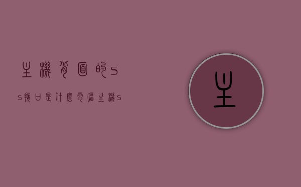 主机背面的ss接口是什么（电脑主机ss接口是什么意思），电脑主机背面SS接口详解，功能与意义全解析