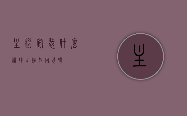 主机安装什么软件（主机好安装吗），主机安装软件指南，轻松搞定主机安装！