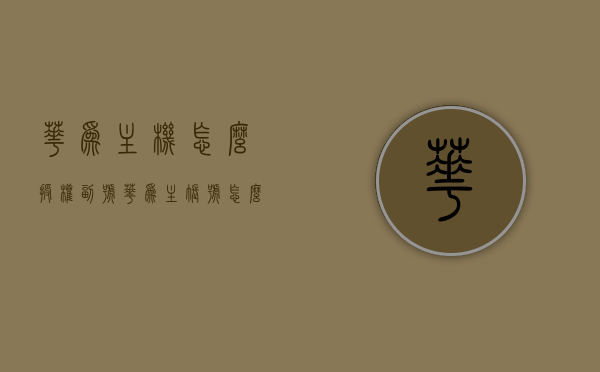 华为主机怎么授权副号（华为主账号怎么授权），华为主账号授权副号操作指南，华为主账号授权副号操作指南，如何为副账号授权主机权限？