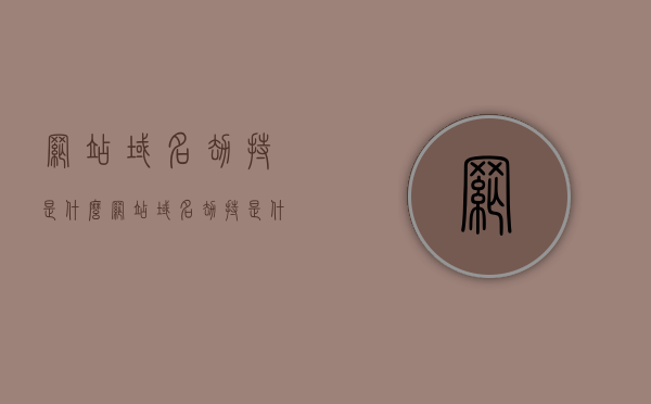 网站域名劫持是什么（网站域名劫持是什么意思），网站域名劫持解析，什么是域名劫持？，网站域名劫持解析及含义介绍