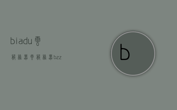 biadu云服务器（云服务器 bzz），Baidu云服务器（BZZ）技术解析与特点