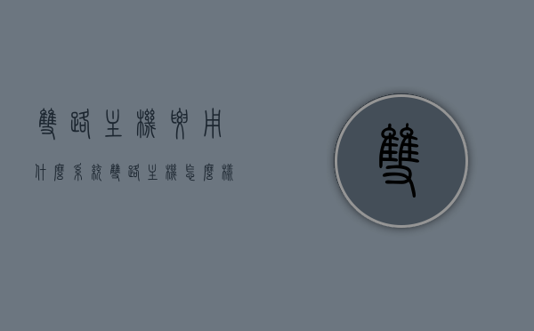双路主机要用什么系统（双路主机怎么样），双路主机系统选择与体验探讨，双路主机系统选择与体验，系统适配及性能探讨