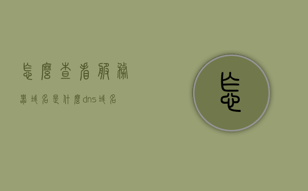 怎么查看服务器域名是什么（dns域名服务器的作用是什么），如何查询服务器域名及DNS域名服务器的作用解析，如何查询服务器域名及解析DNS域名服务器的作用与解析方法