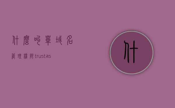 什么叫单域名管理权限（trustasia dv 单域名），单域名管理权限解析（TrustAsia DV 单域名详解），单域名管理权限详解，TrustAsia DV单域名的管理与解析，TrustAsia DV单域名管理权限详解，概念、管理与解析指南
