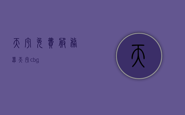 天宇免费服务器（天宇cbg），天宇免费服务器（天宇CBG）介绍与体验，天宇免费服务器（天宇CBG）详解与体验分享