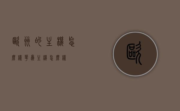欧洲的主机怎么样（华为主机怎么样），欧洲主机与华为主机性能解析，深度探讨使用体验与表现