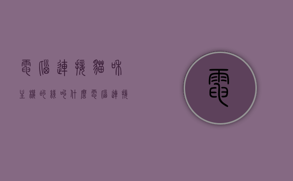 电脑连接猫和主机的线叫什么（电脑连接猫和主机的线叫什么名称），电脑连接猫和主机的线名称解析，专业术语揭秘！，揭秘，电脑连接猫和主机的线路专业术语及名称解析！，揭秘，电脑连接猫和主机的线路专业术语与名称解析