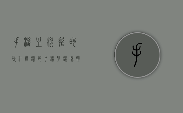 手机主机指的是什么样的（手机主机和整机的区别），手机主机定义及其与整机的差异解析，手机主机与整机解析，定义、差异全解读，手机主机与整机的定义、差异全面解读，深度解析手机主机特性与功能，手机主机与整机的定义、差异深度解析，全面解读手机主机特性与功能，手机主机与整机的定义、差异深度解析及特性功能全面解读