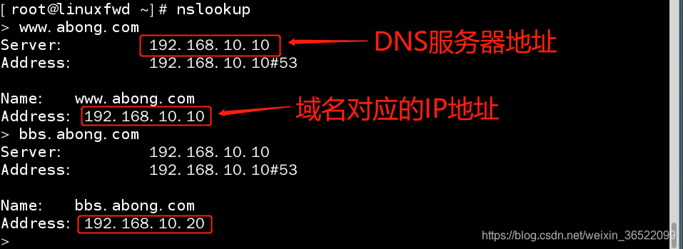 linux服务器域名设置(linux设置服务器ip地址)，Linux服务器域名设置与IP地址配置指南，Linux服务器域名与IP地址配置指南 第2张