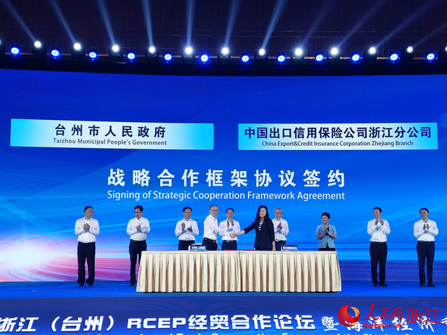 公司通过政府购买服务器(政府购买服务人员可以开公司吗)，政府购买服务下的公司服务器采购，能否开设公司进行服务采购？