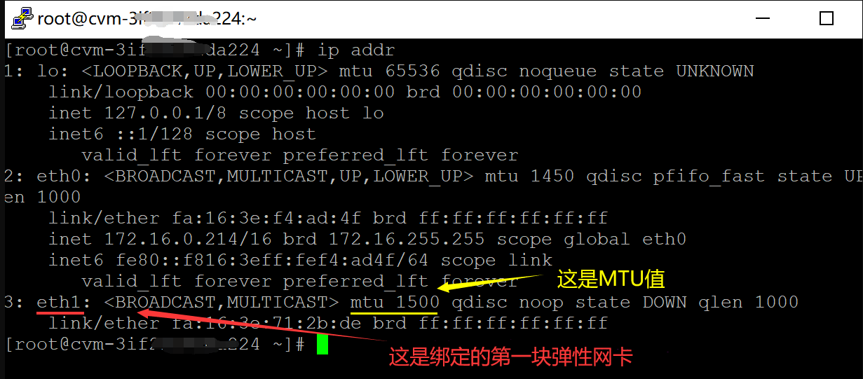 云服务器公网ip地址有什么用(云服务器公网ip和私网ip的区别)，云服务器公网IP地址详解，作用与私网IP的区别 第2张