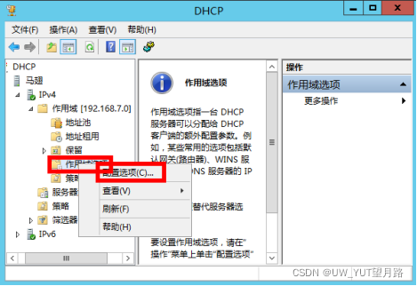 如何查看本地域名服务器的ip地址(如何查看本地域名服务器的ip地址和端口)，如何查看本地域名服务器的IP地址及端口信息？