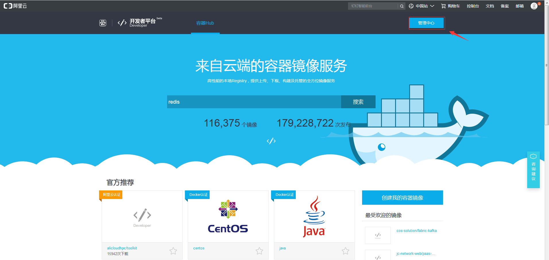 包含阿里云轻量服务器docker的词条，阿里云轻量服务器Docker应用指南 第2张