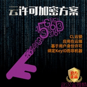 云服务器加密狗怎么使用(阿里云服务器如何插加密狗)，阿里云服务器加密狗使用指南，操作与步骤，阿里云服务器加密狗使用指南，操作与步骤详解，阿里云服务器加密狗使用详解，操作指南与步骤解析，阿里云服务器加密狗使用详解，操作指南与步骤解析，阿里云服务器加密狗使用详解，操作指南与步骤解析，阿里云服务器加密狗使用详解，操作指南与步骤解析，阿里云服务器加密狗使用详解，操作指南与步骤解析