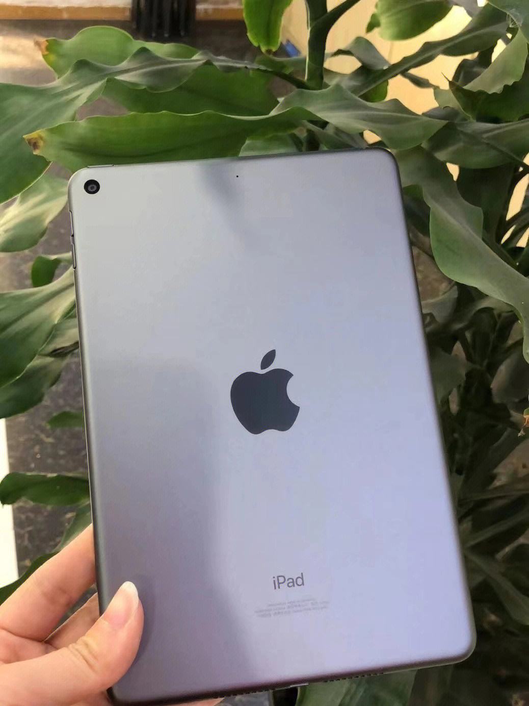 ipadmini5收件服务器主机名(ipad收件服务器主机名应该填写什么)，iPad mini 5收件服务器主机名详解，如何正确填写iPad收件服务器主机名？，iPad mini 5收件服务器主机名详解及正确填写指南，iPad mini 5收件服务器主机名详解与正确填写指南，iPad mini 5收件服务器主机名详解及正确填写指南。，iPad mini 5收件服务器主机名详解及正确填写指南
