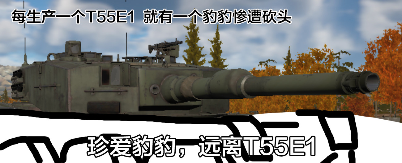 战争雷霆服务器域名错误(战争雷霆服务器域名错误怎么解决)，战争雷霆服务器域名错误及其解决方案