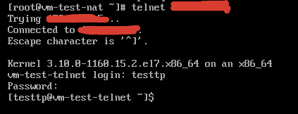 阿里云服务器telnet(阿里云服务器ecs入门考试答案)，阿里云服务器Telnet入门指南及ECS考试答案解析
