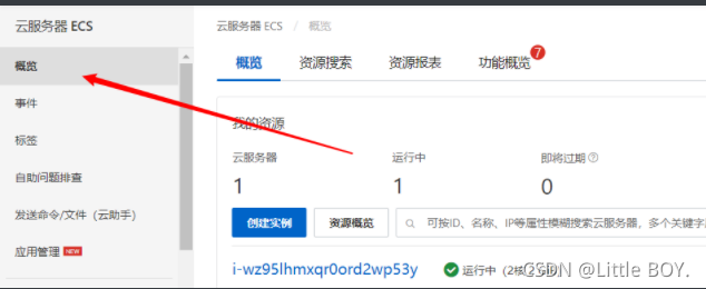 阿里云服务器的重置账号密码是什么的简单介绍，阿里云服务器重置账号密码简介，阿里云服务器重置账号密码详解，步骤与简介，阿里云服务器重置账号密码详解及步骤简介，阿里云服务器重置账号密码详解及步骤简介，阿里云服务器重置账号密码详解与步骤简介，阿里云服务器重置账号密码详解及快速步骤简介，阿里云服务器重置账号密码详解与快速步骤指南 第2张