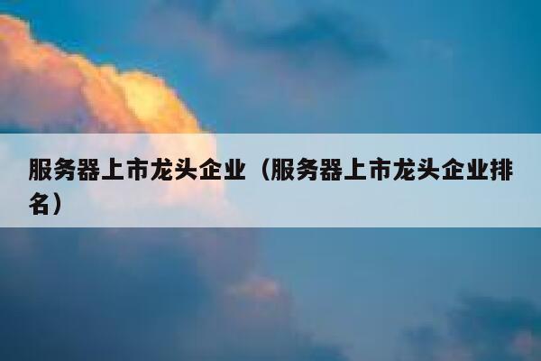 打造云服务器的上市公司的简单介绍，云服务器上市公司简介，打造领先的云服务解决方案，云服务器上市公司打造领先云服务解决方案简介，云服务器上市公司打造领先云服务解决方案简介 第1张