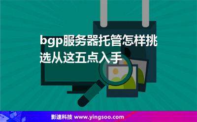 具有口碑的服务器托管的简单介绍，口碑服务器托管简介，专业可靠的服务体验，专业可靠口碑服务器托管简介，服务体验与特色一览，专业可靠口碑服务器托管简介，服务特色与体验一览