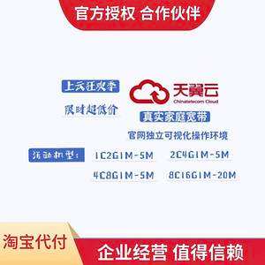 天翼云服务器什么意思(天翼云服务器用的什么cpu)，天翼云服务器详解，功能与服务，以及使用的CPU类型揭秘，天翼云服务器详解，功能、服务、CPU类型及揭秘其使用的处理器技术，天翼云服务器全解析，功能、服务、CPU类型及处理器技术揭秘