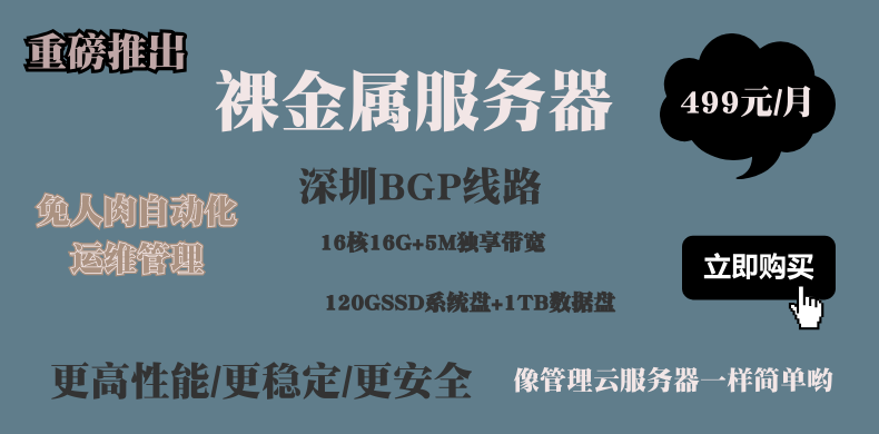 裸金属服务器租用(裸金属服务器与虚拟机的区别)，裸金属服务器租用，与虚拟机的区别解析