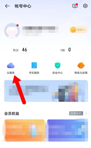 vivo手机联网后无法使用云服务器(vivo手机联网后无法使用云服务器怎么办)，vivo手机联网无法使用云服务器解决方案，解决vivo手机联网无法使用云服务器的问题，实用解决方案