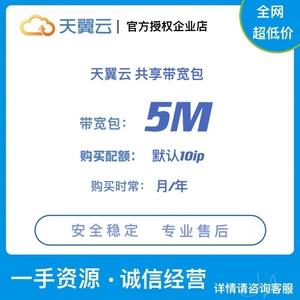 服务器托管共享带宽(服务器托管共享带宽多少)，服务器托管共享带宽详解，带宽数值及影响因素探讨