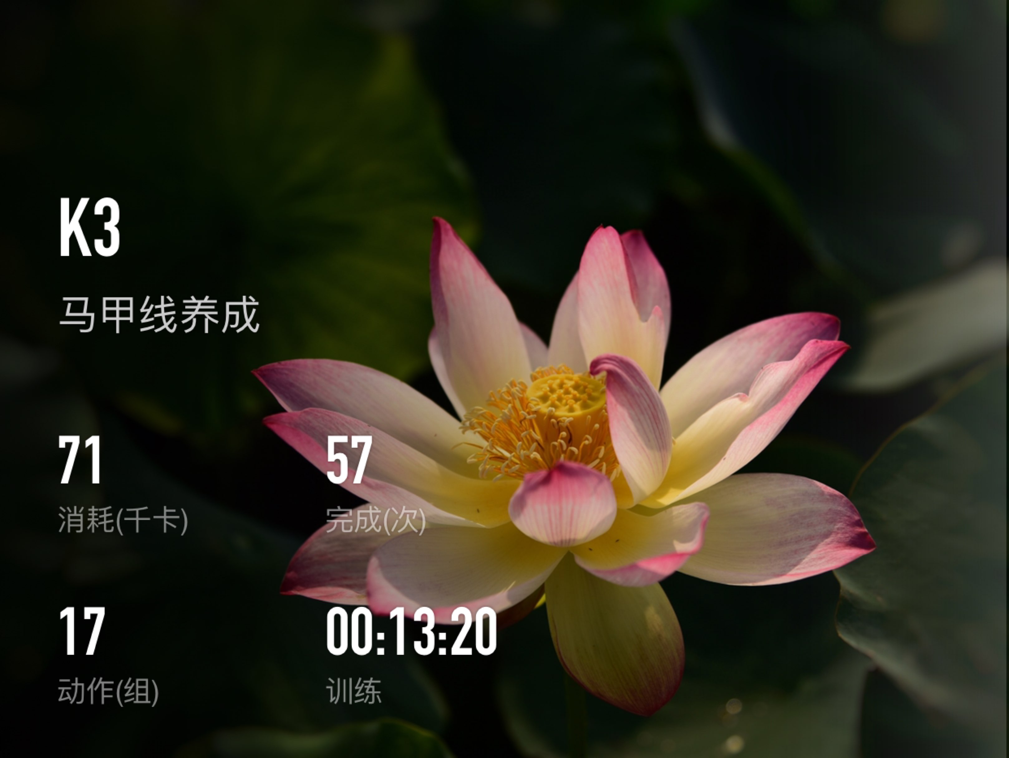 keep怎么用云服务器刷的简单介绍，云服务器使用指南，Keep应用如何轻松刷云操作简介，Keep应用云服务器使用指南，轻松刷云操作简介，Keep应用云服务器使用指南，轻松掌握刷云操作简介 第2张