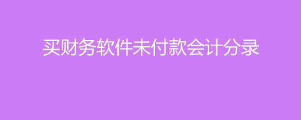 购买财务软件服务器如何做分录(购买财务软件服务器如何做分录处理)，如何对购买财务软件服务器进行分录处理？，购买财务软件服务器分录处理详解 第2张