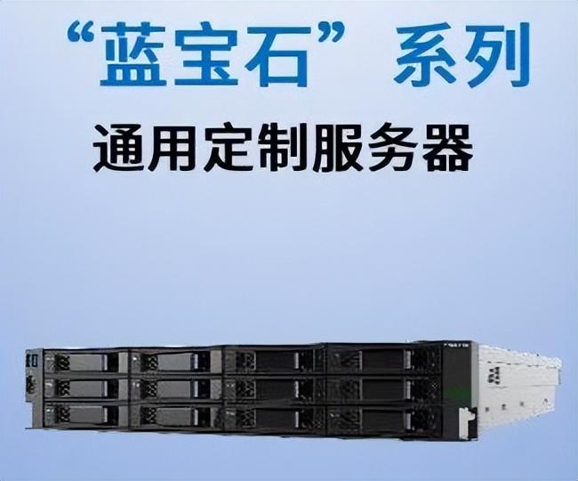 互联网公司购买信创服务器(互联网公司购买信创服务器有风险吗)，互联网公司购买信创服务器，风险与机遇并存的分析，互联网公司购买信创服务器，风险与机遇并存的分析探讨，互联网公司购买信创服务器，风险与机遇并存的分析探讨或探讨互联网企业信创服务器采购的风险与机遇分析。 第2张